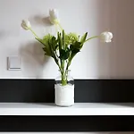 Moselrose Apartment *