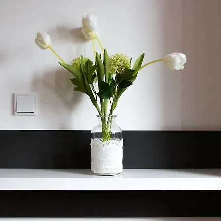 Moselrose Apartament *